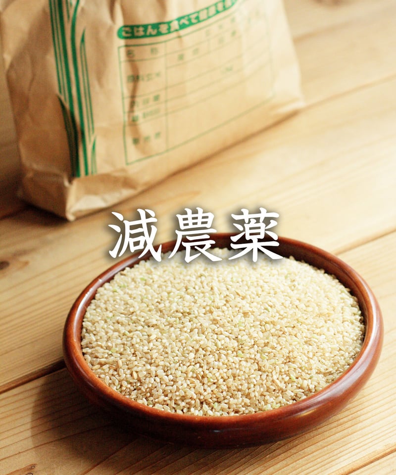 売約済み　２０２５年コシヒカリ玄米　U 新米 令和7年】魚沼産コシヒカリ 玄米 2kg【品質向上と食味重視】の