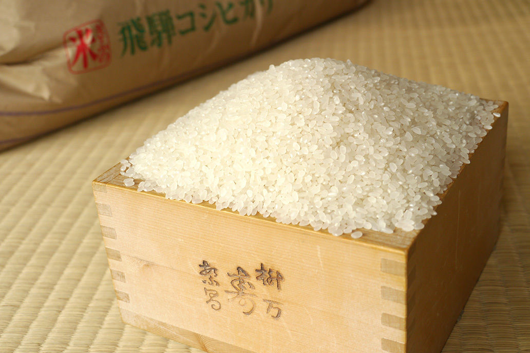 飛騨の米】 飛騨産コシヒカリ（白米）6kg （2kg×3袋） | 飛騨高山の