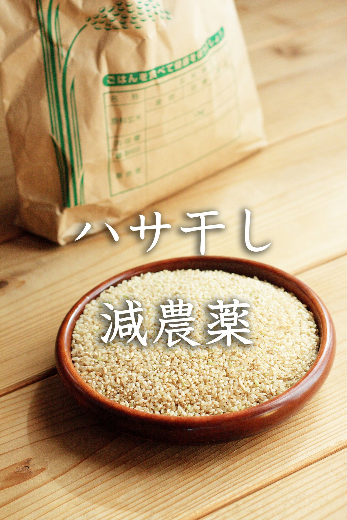 天陽稲架干し飛騨の米】飛騨産コシヒカリ(玄米)【10kg 天陽稲架干し飛騨の米】飛騨産コシヒカリ(玄米)【10kg