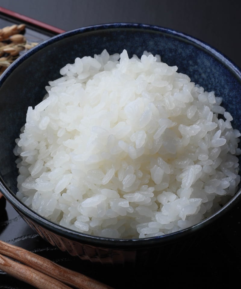 農薬完全不使用/植物発酵肥料 コシヒカリ 白米10kg 白米10kg】2025年新米 農家直送つくばの低農薬コシヒカリ「僕は君の