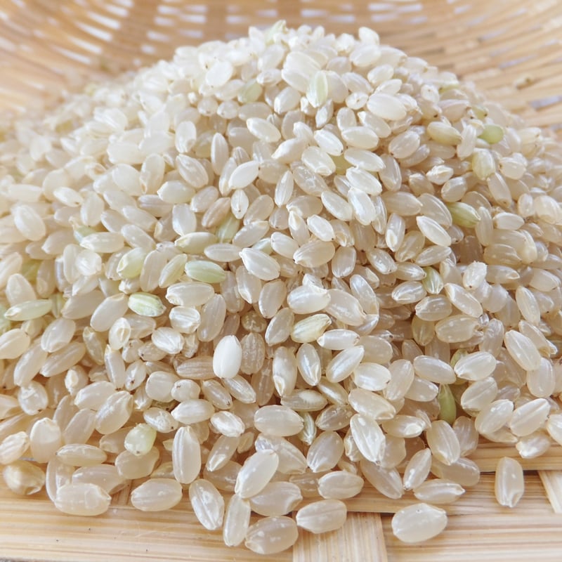 天陽稲架干し飛騨の米】飛騨産コシヒカリ(玄米)【5kg】 | 飛騨 天陽稲架干し飛騨の米】飛騨産コシヒカリ(玄米)【5kg】 | 飛騨