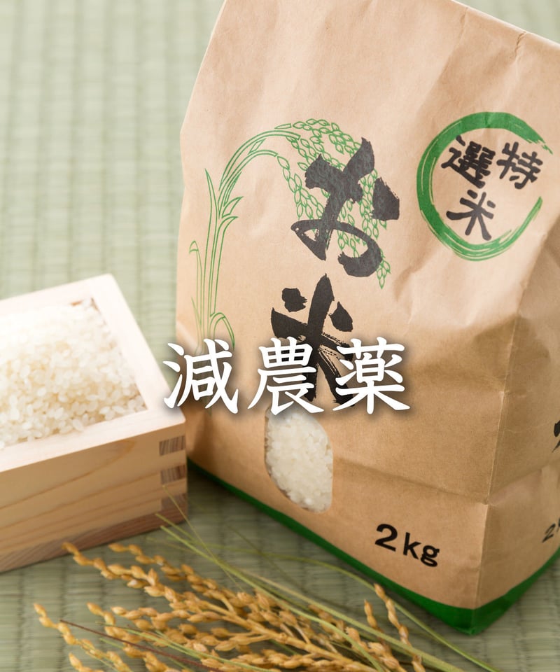 飛騨の米】 飛騨産コシヒカリ（白米）6kg （2kg×3袋） | 飛騨高山の