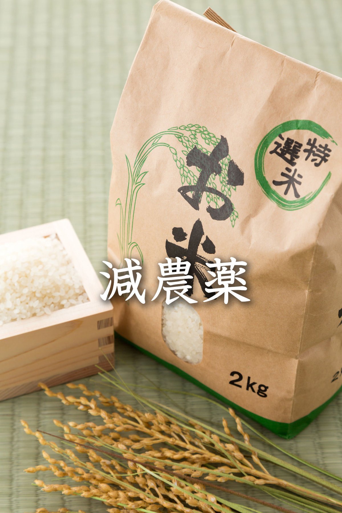 飛騨の米】 飛騨産コシヒカリ（白米）6kg （2kg×3袋） | 飛騨高山の