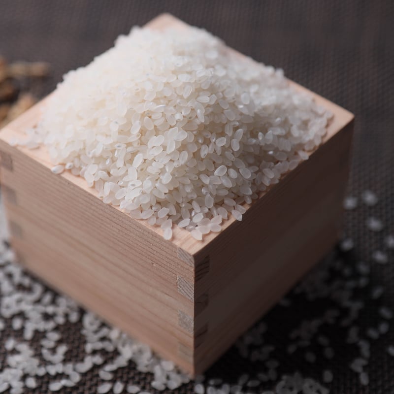 うまいうまい飛騨の米】 飛騨産コシヒカリ（白米）【10kg
