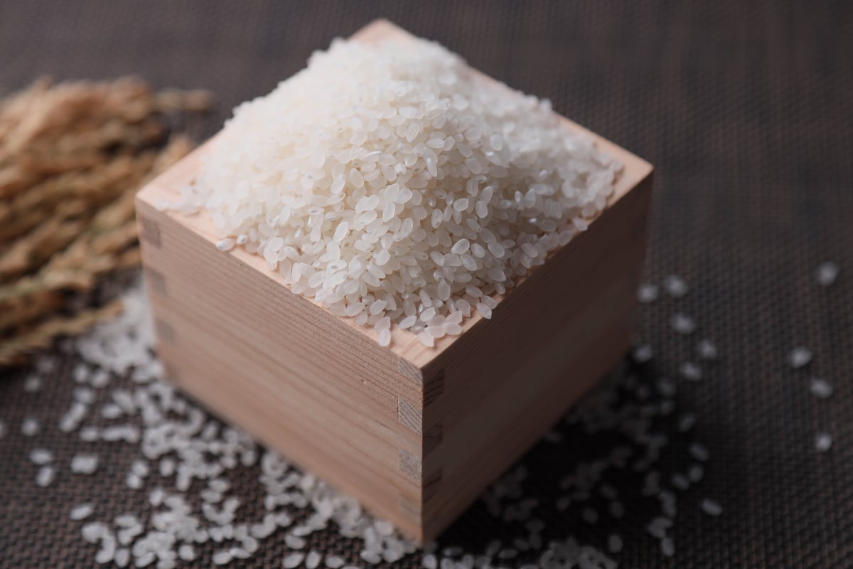 2025年産 【飛騨の米】 飛騨産コシヒカリ(白米)【10kg】 | 飛騨高山 2025年産 【飛騨の米】 飛騨産コシヒカリ(白米)【10kg】 | 飛騨高山