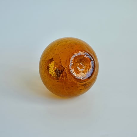 elm