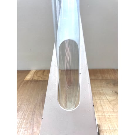 science single