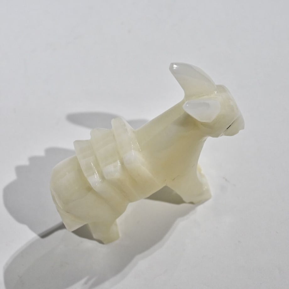 5fe55cdcda019c2f97cad810