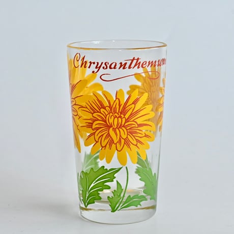 chrysanthemum