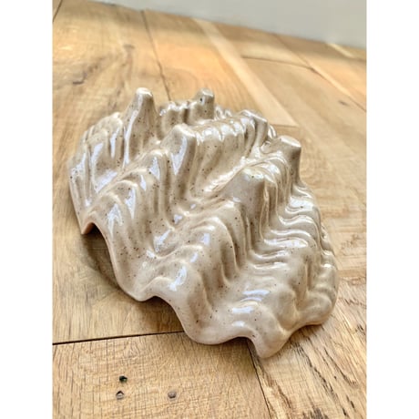 scallop