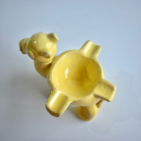 camel