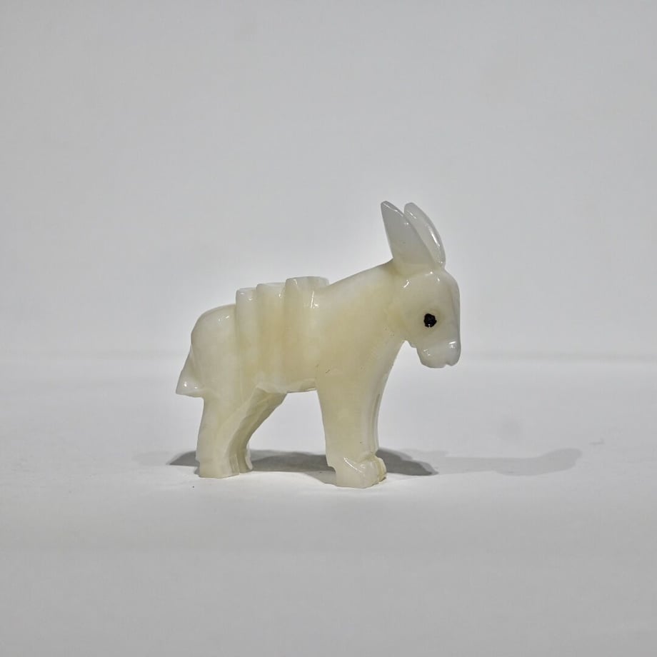 5fe55cdcda019c2f97cad810