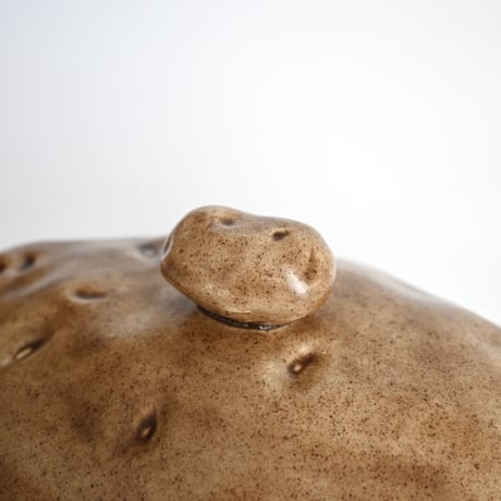 potato love