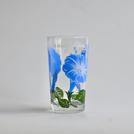 morningglory