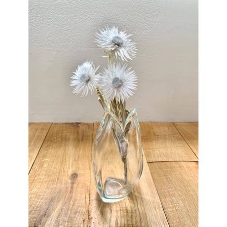 bloom