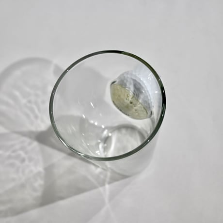 shot