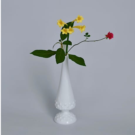 CATEGORY vase | PART OF NATURE
