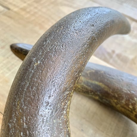 horn