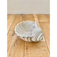 snail