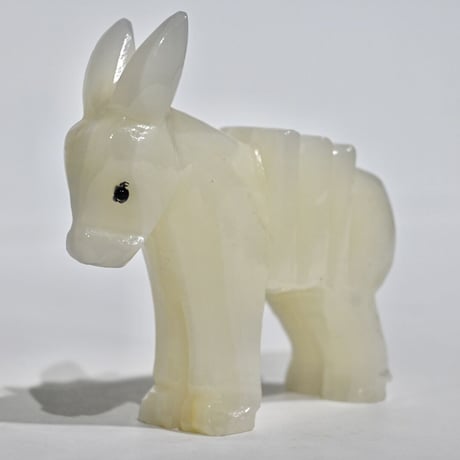 donkey
