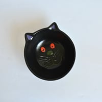 night cat