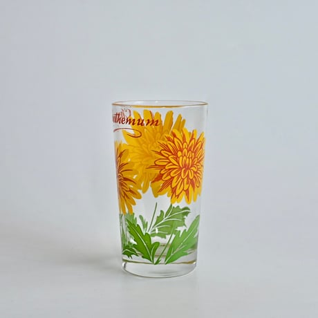 chrysanthemum