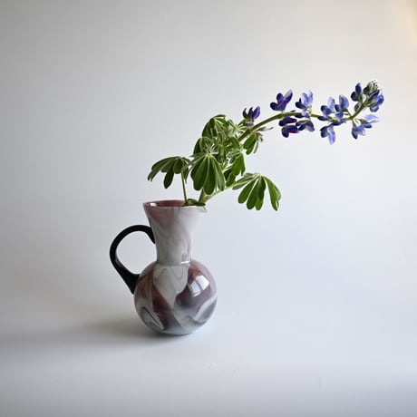 wisteria