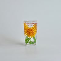 chrysanthemum