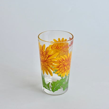 chrysanthemum