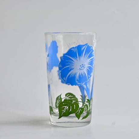 morningglory