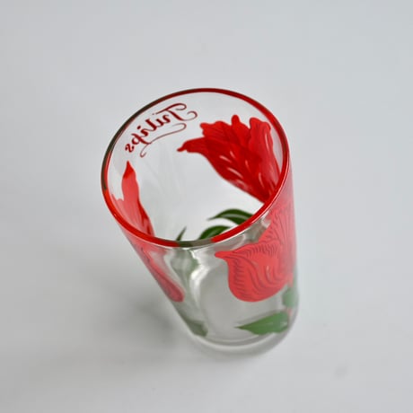 tulip