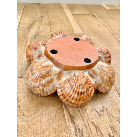 shells