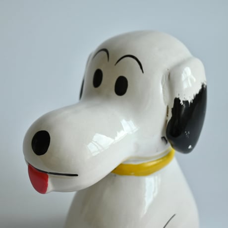 NOOPY