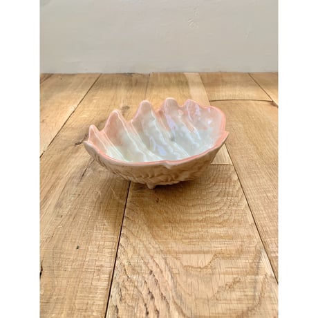 scallop