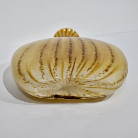asada