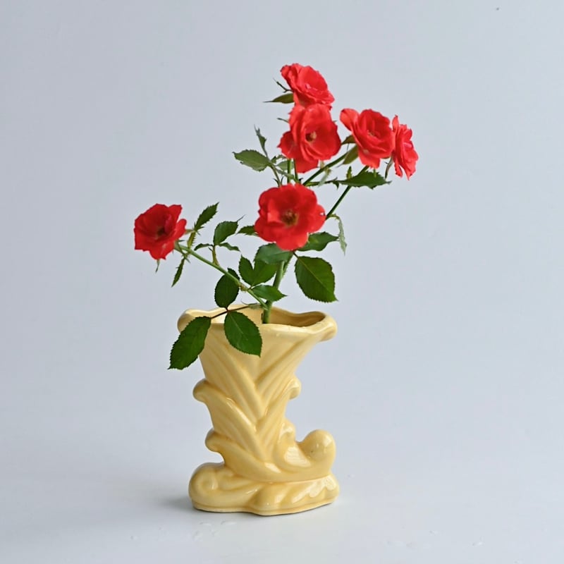 titas | PART OF NATURE