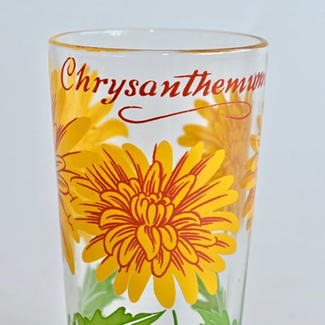 chrysanthemum