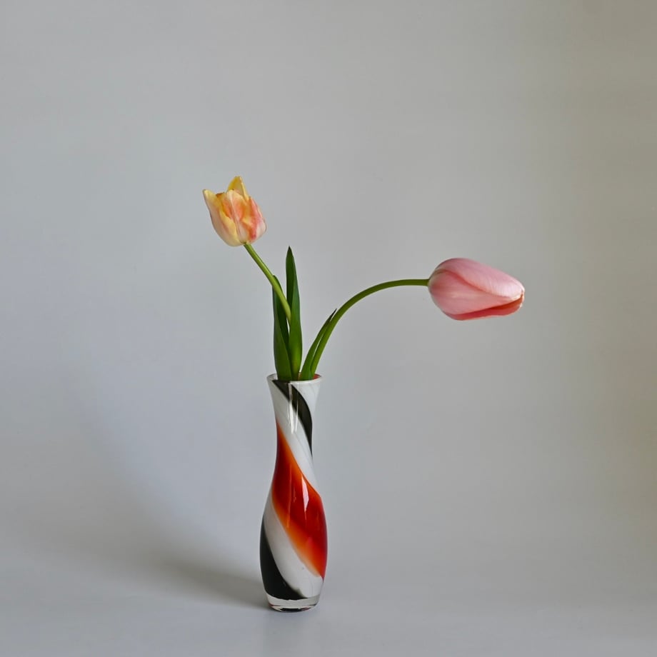 67b95c2b3c173d3201cfb0f7