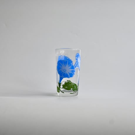 morningglory