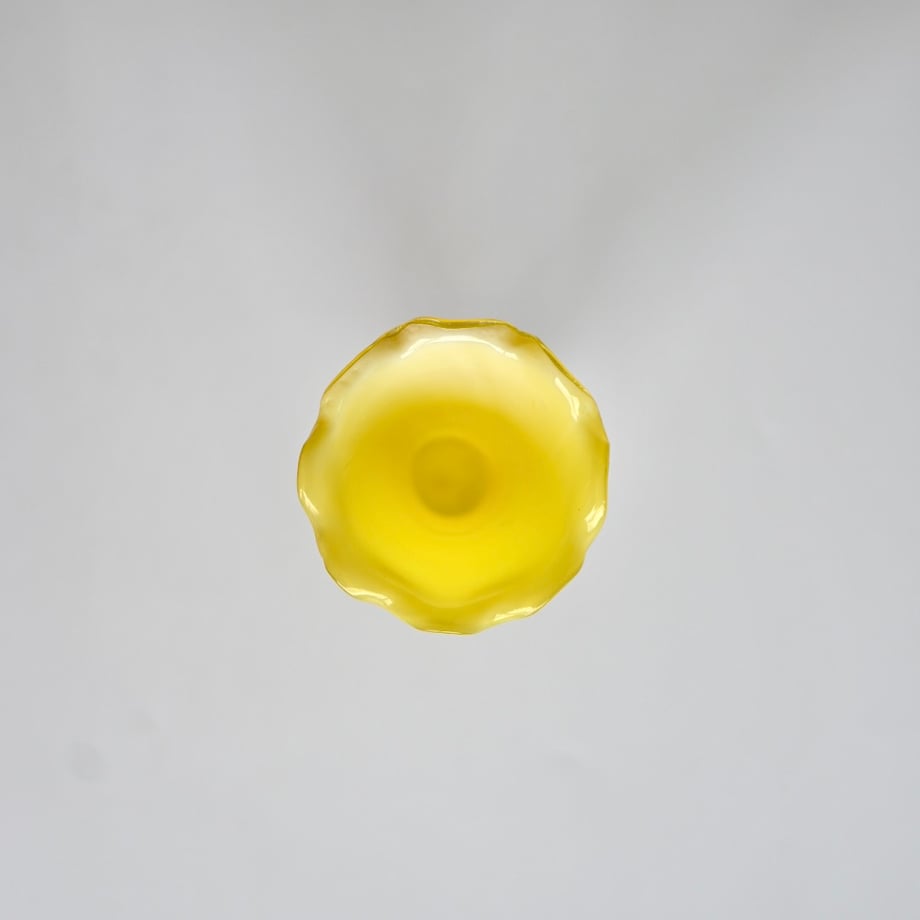 6a4394433f7c4d0051c59369