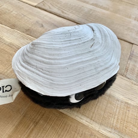 clamboy