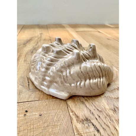scallop