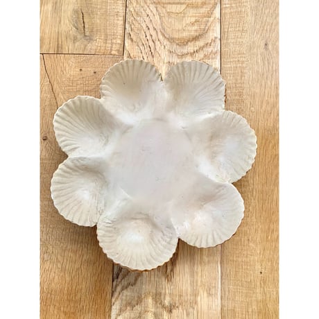shells