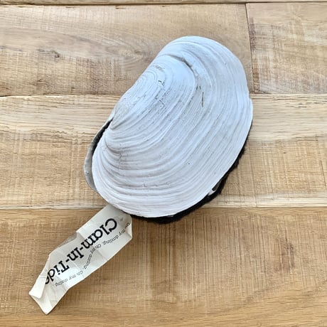 clamboy