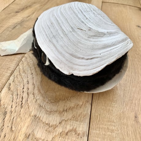 clamboy