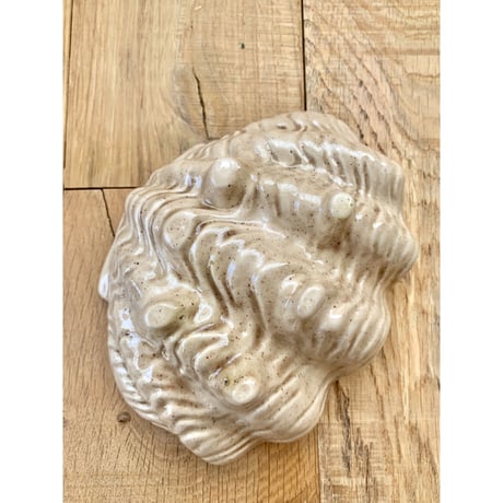 scallop