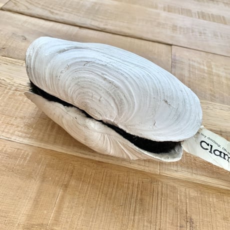 clamboy