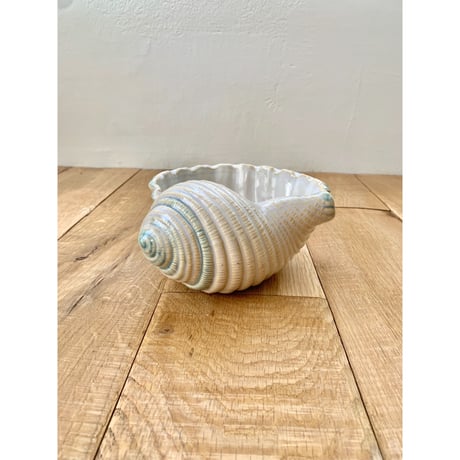 snail