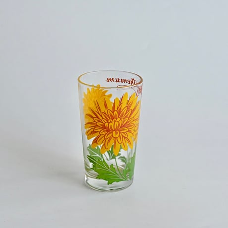 chrysanthemum