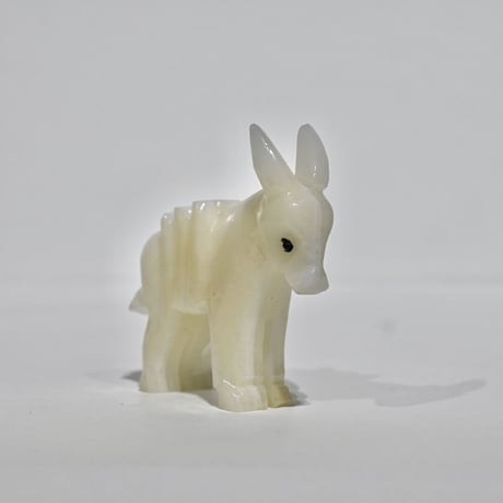 donkey